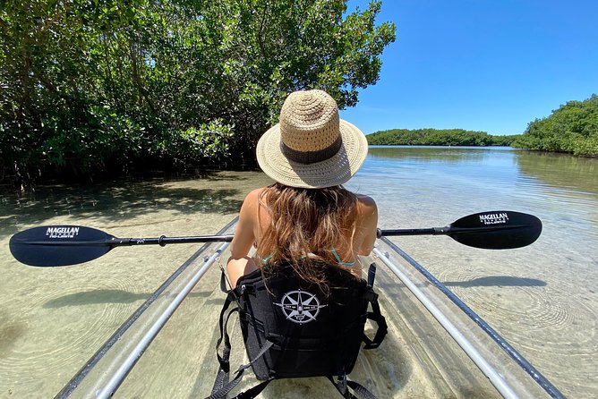 Clear Kayak Tour of Shell Key Preserve and Tampa Bay Area - Key points to know before you book