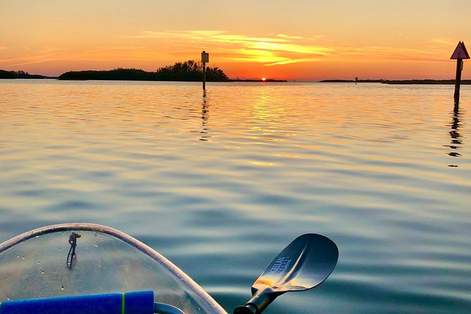Clear Kayak Tour of Shell Key Preserve and Tampa Bay Area - Through mangrove islands and shallow water