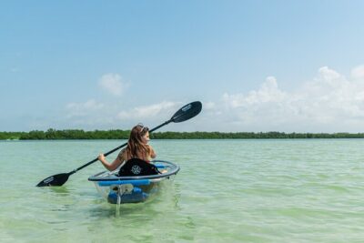 Clear Kayak Tour of Shell Key Preserve and Tampa Bay Area