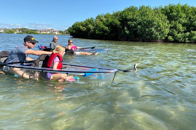 Clear Kayak Tour of Shell Key Preserve and Tampa Bay Area - Choosing your time of day
