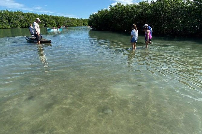 Clear Kayak Tours in Fort Pierce - Getting settled in a tandem or single kayak