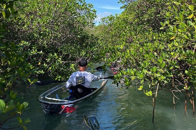 Clear Kayak Tours in Fort Pierce - Price, duration, and what you receive
