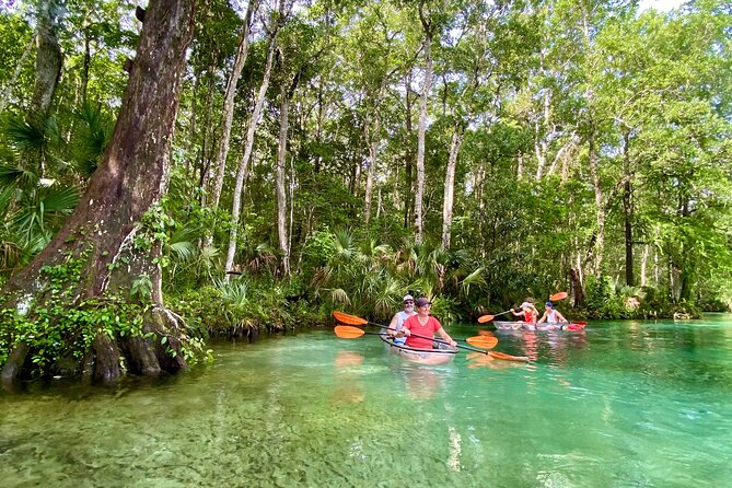 Clear Kayak Tours in Weeki Wachee - Launching from Marys Fish Camp