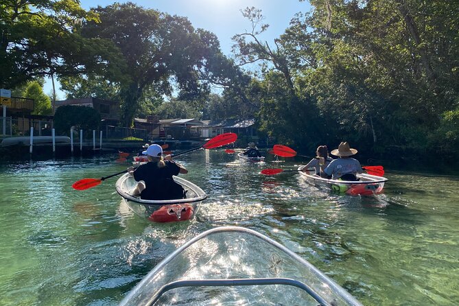 Clear Kayak Tours in Weeki Wachee - The physical side of the paddle