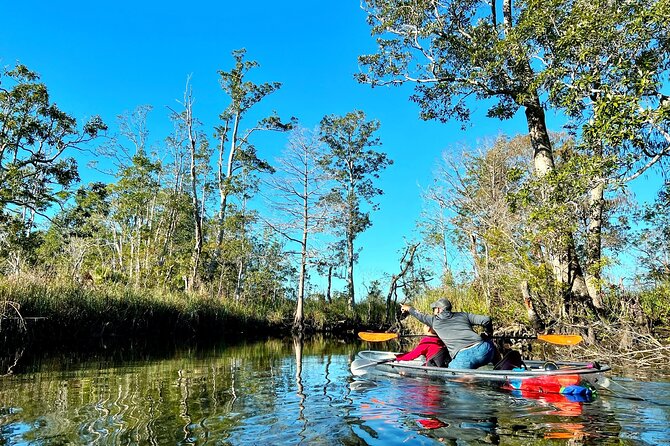 Clear Kayak Tours in Weeki Wachee - Crowds, houses, and the real river setting