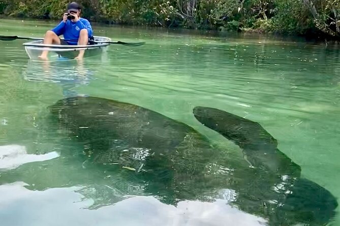 Clear Kayak Tours in Weeki Wachee - Why the guide matters so much