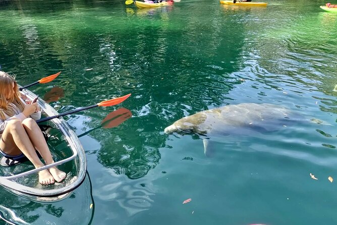 Clear Kayak Tours in Weeki Wachee - Family rules and practical limits