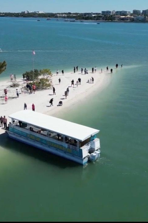 Clearwater Beach: Dolphin & Island Sandbar Cruise - Key points to know before boarding
