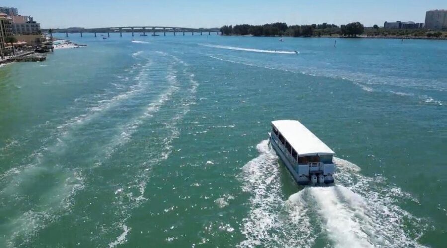 Clearwater Beach: Dolphin & Island Sandbar Cruise - Should you book the Clearwater dolphin and sandbar cruise?