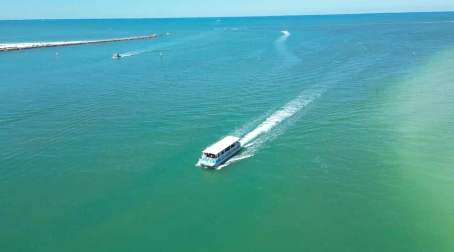 Clearwater Beach: Dolphin & Island Sandbar Cruise - The boat ride and the search for dolphins