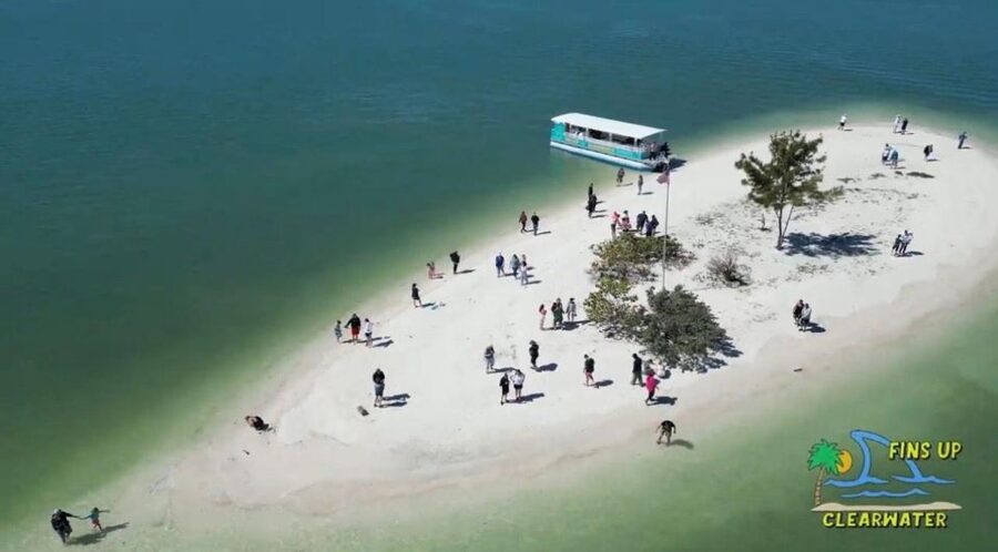 Clearwater Beach: Dolphin & Island Sandbar Cruise - One-Tree Island and the short swim stop