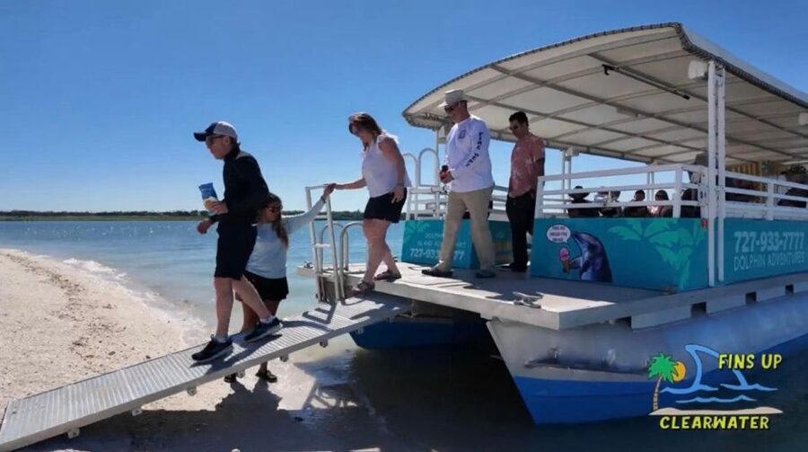Clearwater Beach: Dolphin & Island Sandbar Cruise - How the guides shape the experience