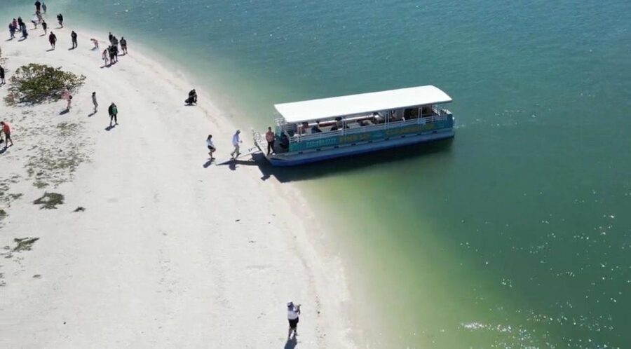 Clearwater Beach: Dolphin & Island Sandbar Cruise - What the $28 price really buys you