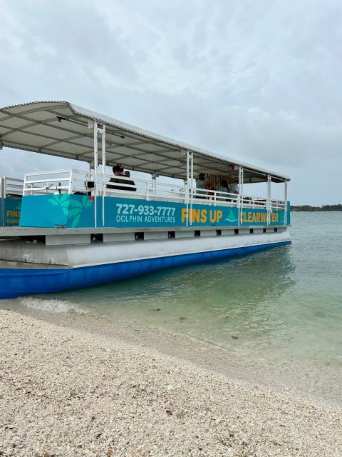 Clearwater Beach: Dolphin & Island Sandbar Cruise - Timing, weather, and what to pack