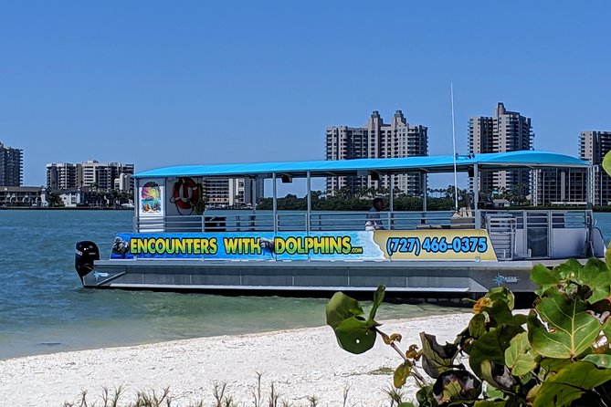 Clearwater Encounters with Dolphins Tour - A boat ride built around wild dolphins
