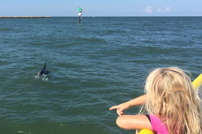Clearwater Encounters with Dolphins Tour - Who will enjoy this most?
