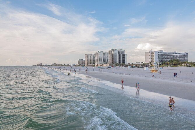 Clearwater Encounters with Dolphins Tour - What happens after leaving Clearwater Beach Marina