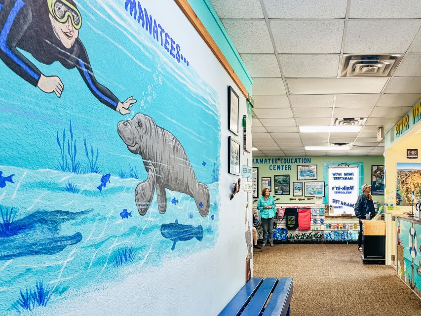 Crystal River: Manatee Snorkel Tour w/ In-Water Photographer - A short transfer, then the covered pontoon boat