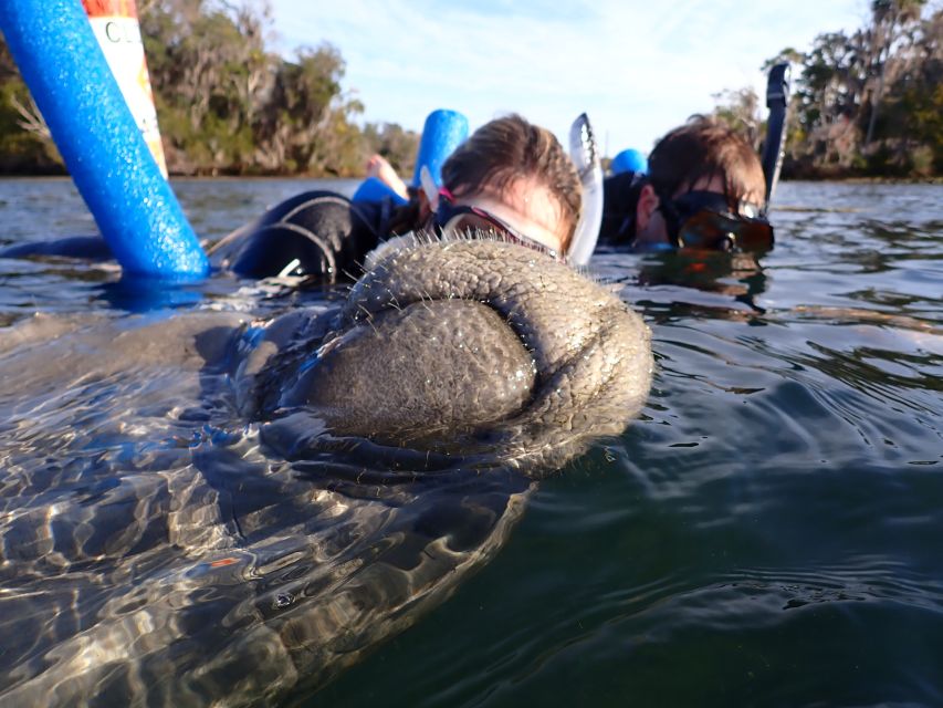 Crystal River: Manatee Snorkel Tour w/ In-Water Photographer - Getting fitted for a wetsuit and snorkel gear