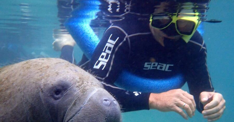 Crystal River: Manatee Snorkel Tour w/ In-Water Photographer - How family-friendly is the tour?
