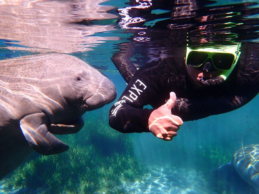 Crystal River: Manatee Swim Group Tour - Should You Book the Crystal River Manatee Swim?