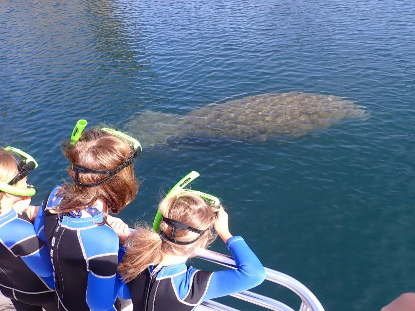 Crystal River: Manatee Swim Group Tour - The Seasonal Choice: Winter Crowds and Summer Surprises