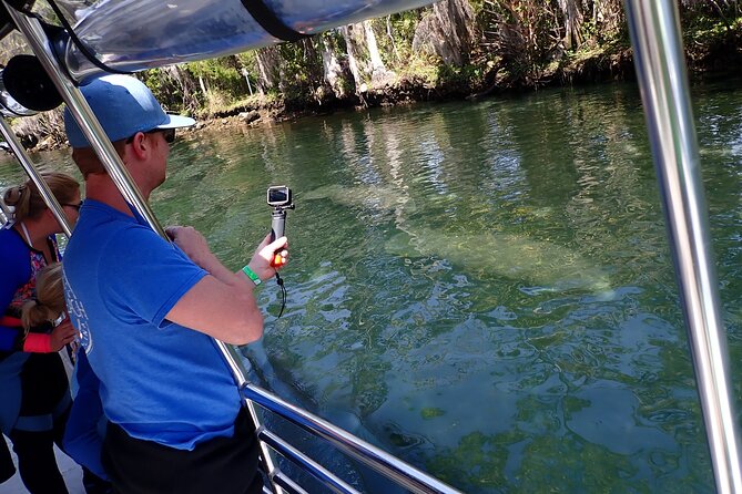 Crystal River Manatee Viewing Cruise - Why this cruise is a smart way to see Crystal River manatees