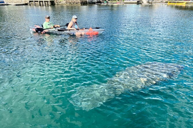Crystal River Three Sisters Springs and Manatee Clear Kayak Tours - The Three Sisters Springs route from April to November