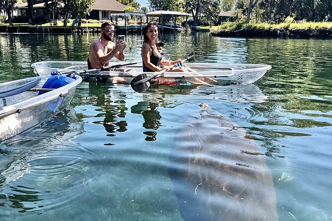 Crystal River Three Sisters Springs and Manatee Clear Kayak Tours - The winter manatee tour from November to March
