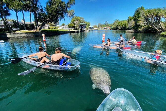 Crystal River Three Sisters Springs and Manatee Clear Kayak Tours - Guides make the difference