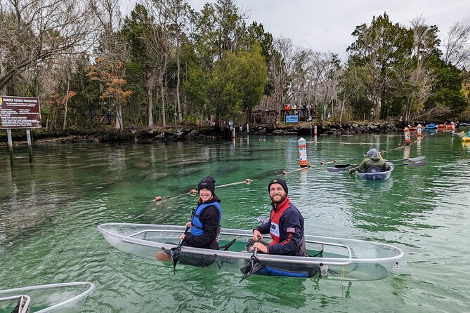 Crystal River Three Sisters Springs and Manatee Clear Kayak Tours - Wildlife beyond manatees