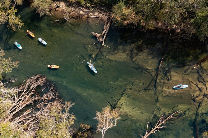 Cypress Springs Eco Adventure - Why Cypress Springs is worth the paddle