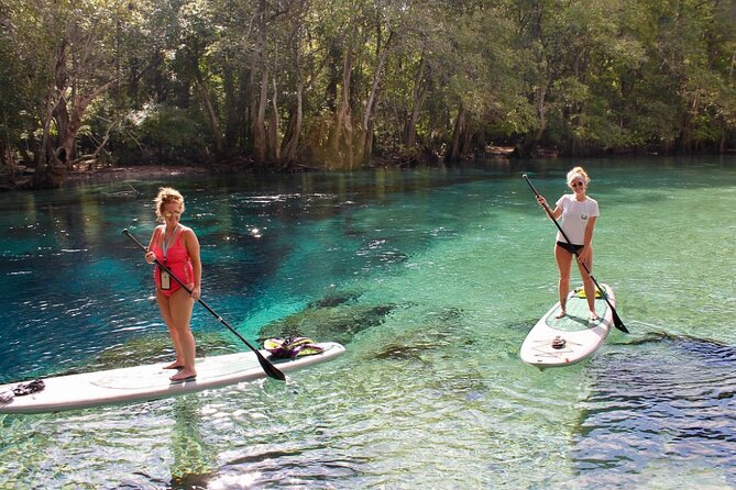 Cypress Springs Eco Adventure - Is the $120 price fair?