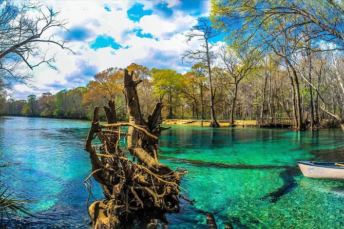 Cypress Springs Eco Adventure - Starting at the Publix meeting point