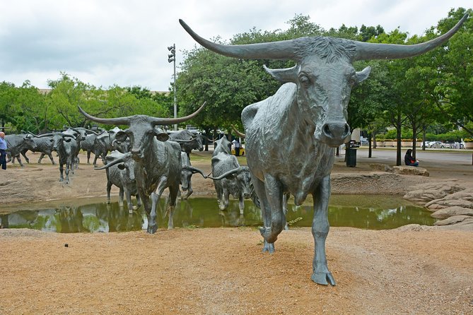 Dallas and JFK Cruizer Tour - Dallas Farmers Market: the useful break