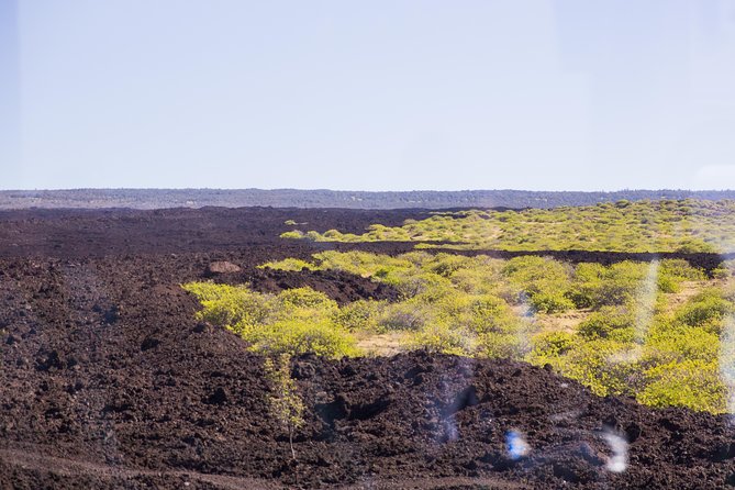 Day Trip from Oahu to Hilo: Volcano Adventure - Is this Oahu to Hilo day trip worth the price?