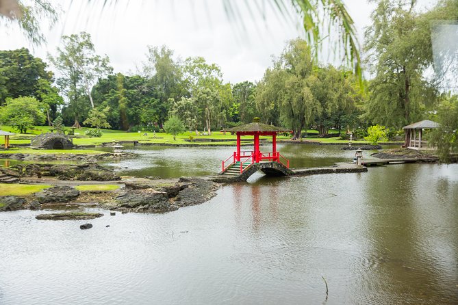 Day Trip from Oahu to Hilo: Volcano Adventure - Thurston Lava Tube, a short walk underground