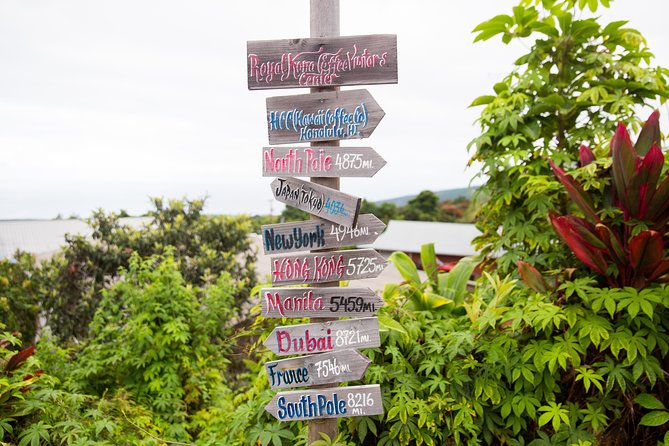 Day Trip from Oahu to Hilo: Volcano Adventure - Starting at Honolulu Airport