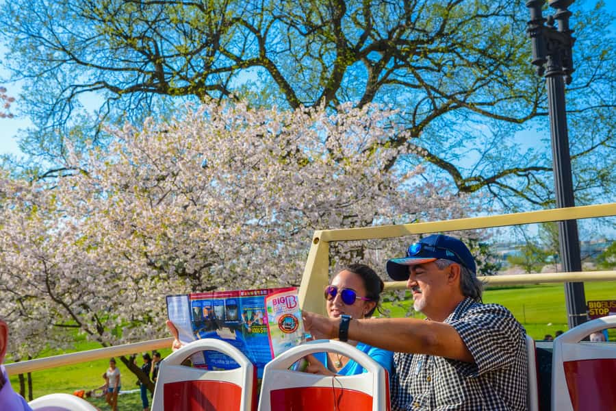 DC: Hop-on Hop-off Tour by Open-top Bus with 17 Stops - The White House, Willard, and Capitol Hill