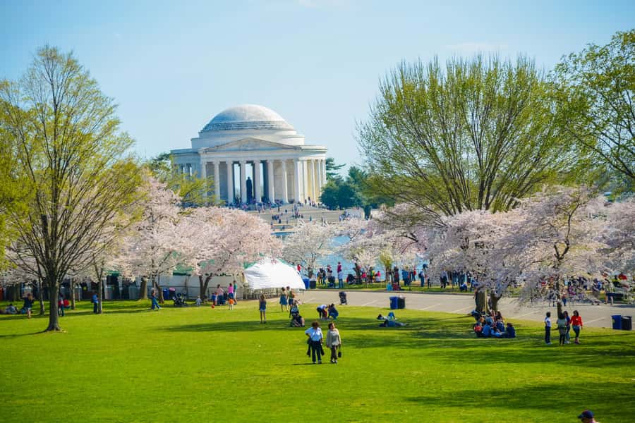 DC: Hop-on Hop-off Tour by Open-top Bus with 17 Stops - National Mall sights from the upper deck