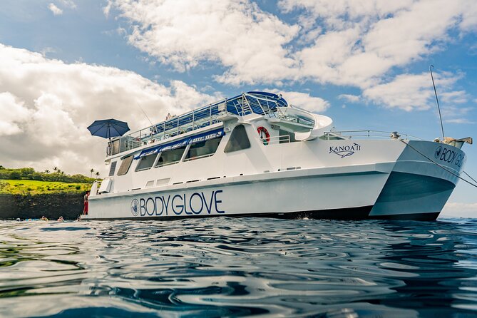 Deluxe Snorkel & Dolphin Watch Aboard a Luxury Catamaran from Kailua-Kona - The Gold Coast cruise and the chance of dolphins