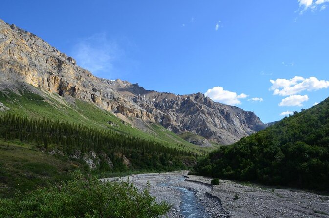 Denali Park Zipline Adventure - Key points to know before you book