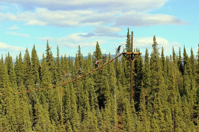 Denali Park Zipline Adventure - A forest adventure, not just a zipline ride