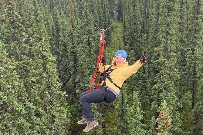 Denali Park Zipline Adventure - Seven ziplines through the boreal forest