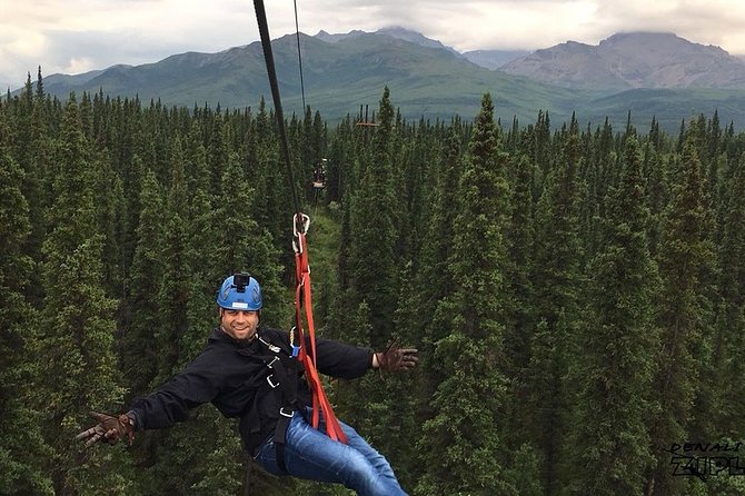 Denali Park Zipline Adventure - Is $208.99 a fair price?