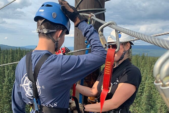 Denali Park Zipline Adventure - Who will enjoy this course most?