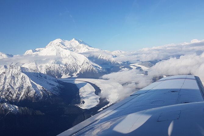 Denali Peak Sightseeing by Plane - How much value do you get for $487.15?