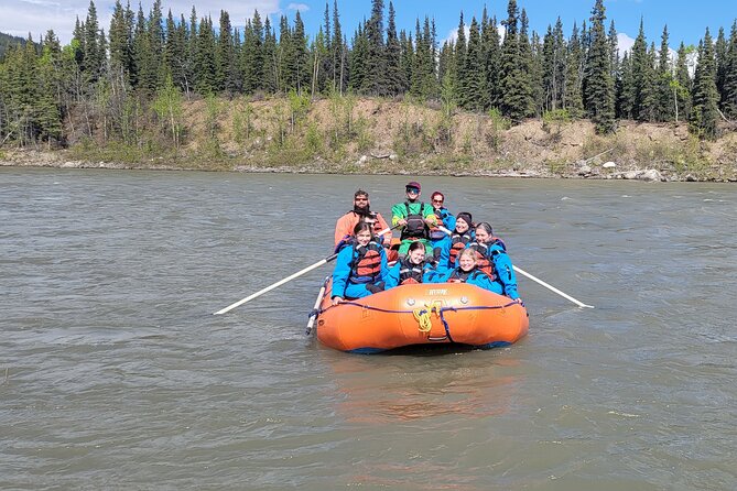 Denali Rafting Wilderness Wave - The Nenana River route and its mountain views