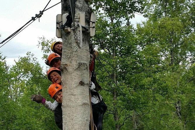Denali Zipline Tour in Talkeetna, AK - Nine lines, with a gentle start and a faster finish