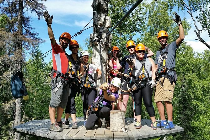 Denali Zipline Tour in Talkeetna, AK - Bridges and a spiral staircase keep the course varied